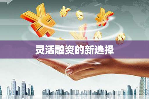 芦山灵活融资的新选择