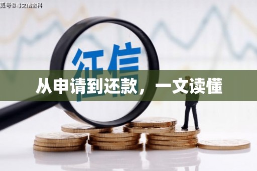 芦山从申请到还款，一文读懂