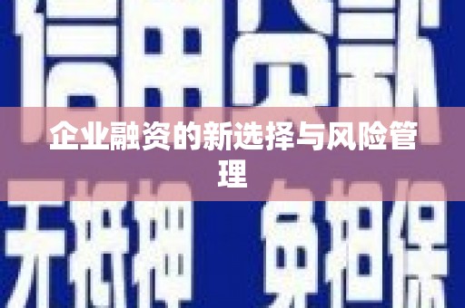 芦山企业融资的新选择与风险管理