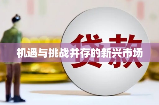 芦山机遇与挑战并存的新兴市场