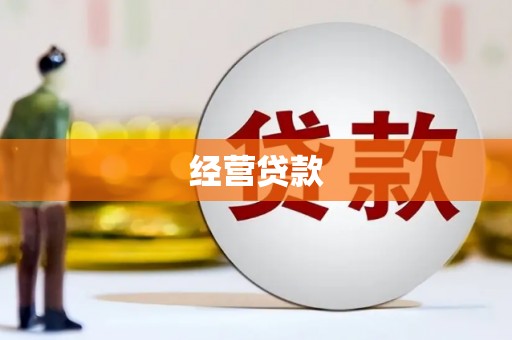 芦山经营贷款
