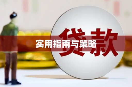 芦山实用指南与策略