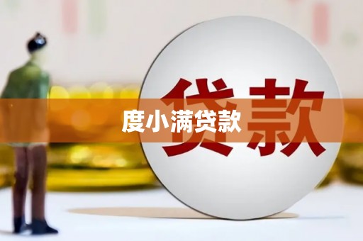 芦山度小满贷款