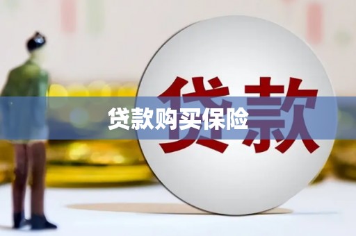 芦山贷款购买保险