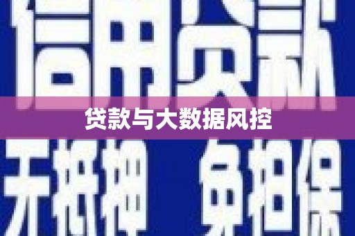 芦山贷款与大数据风控