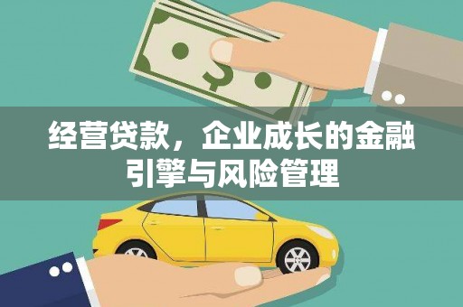 芦山经营贷款，企业成长的金融引擎与风险管理
