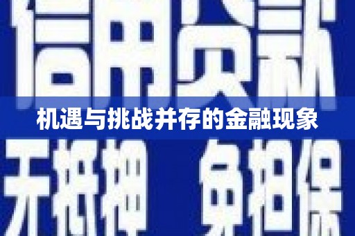 芦山机遇与挑战并存的金融现象