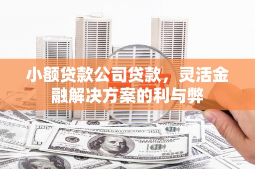 芦山小额贷款公司贷款，灵活金融解决方案的利与弊