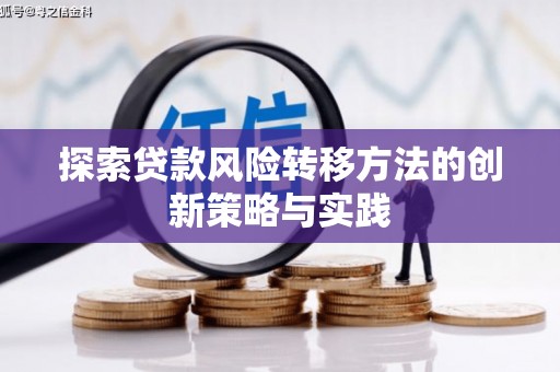 芦山探索贷款风险转移方法的创新策略与实践
