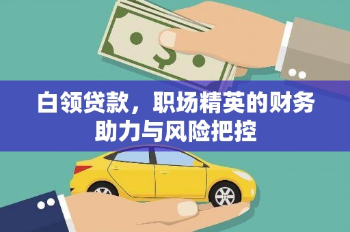 芦山白领贷款，职场精英的财务助力与风险把控