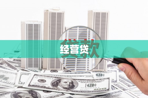 芦山经营贷