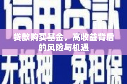 芦山贷款购买基金，高收益背后的风险与机遇