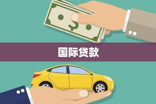 芦山国际贷款